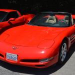 StElizabeth_011 (June 16, 2017)